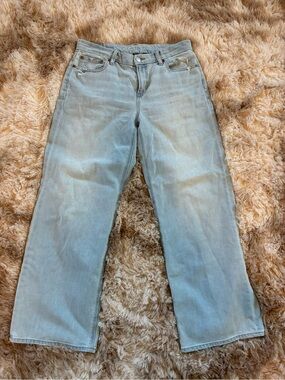American Eagle Outfitters Light Blue Wide Leg Jeans